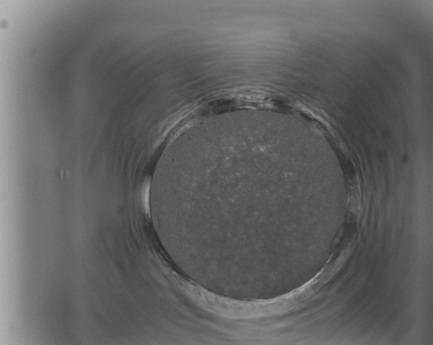 X0000066940047200603311428