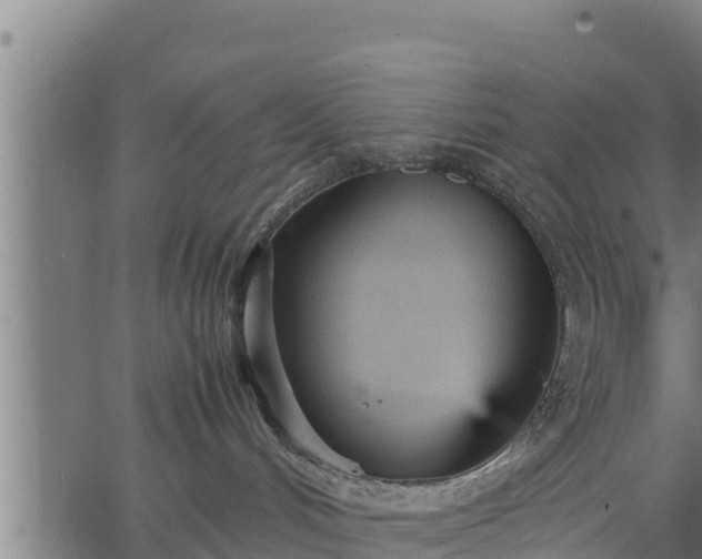 X0000066940048200603311428