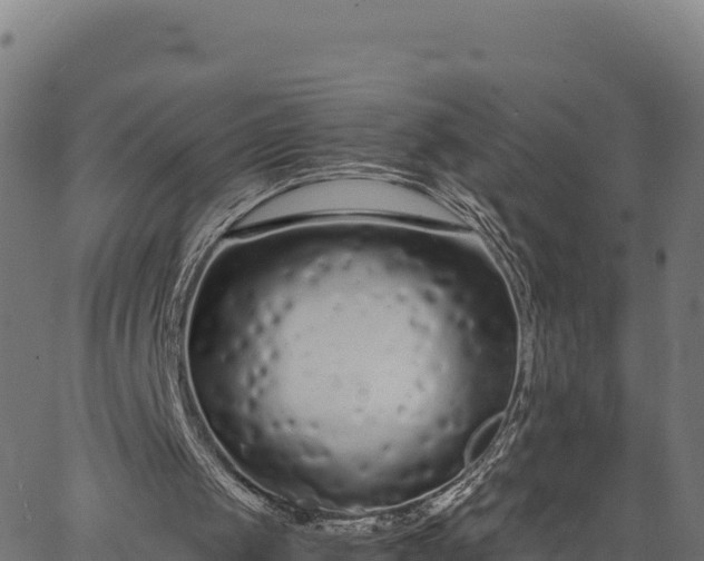 X0000066940049200603311427