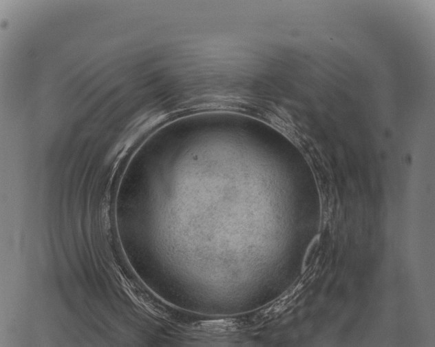 X0000066940050200603311427