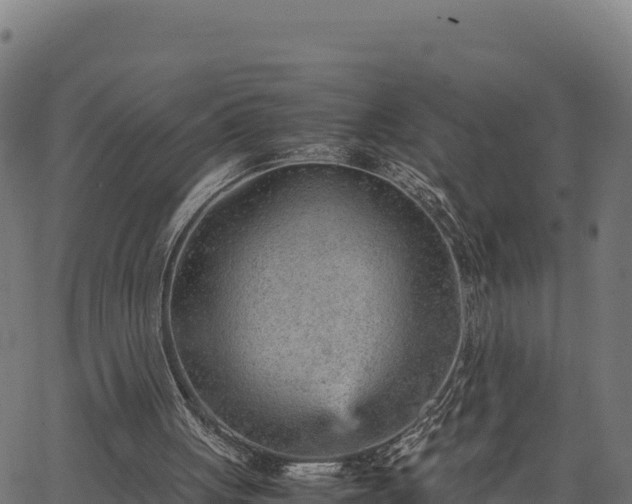 X0000066940051200603311427