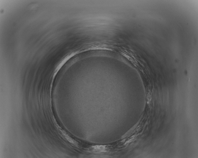 X0000066940052200603311427