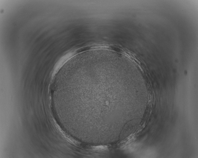 X0000066940053200603311427