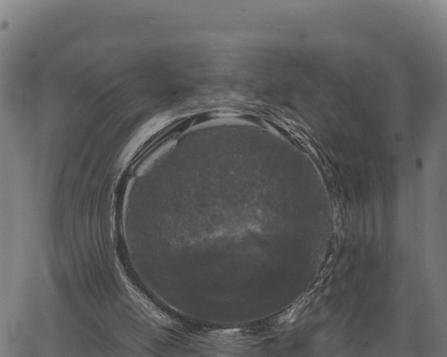 X0000066940054200603311427