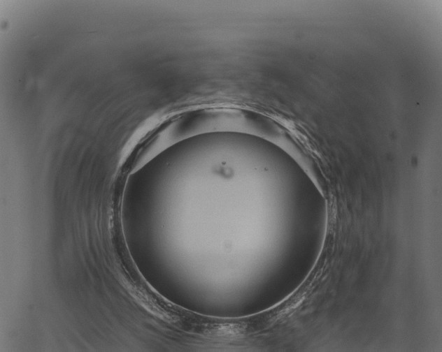 X0000066940056200603311427