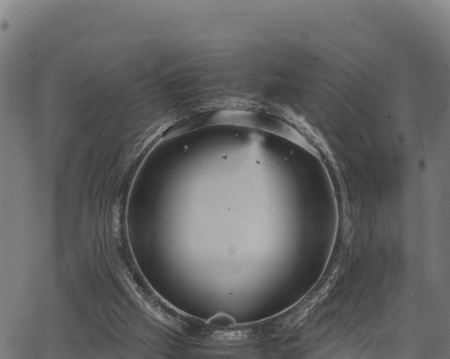 X0000066940057200603311427