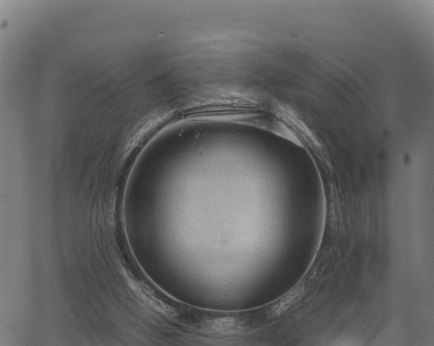 X0000066940058200603311427