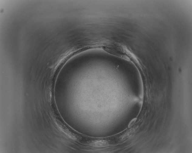 X0000066940059200603311427