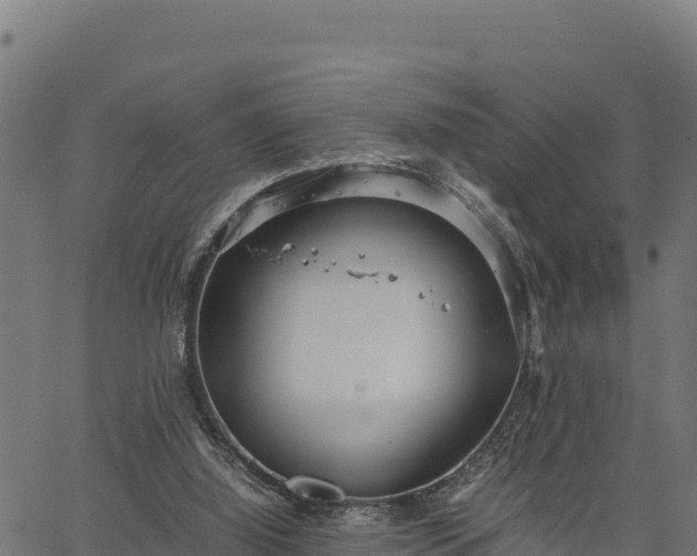 X0000066940060200603311427