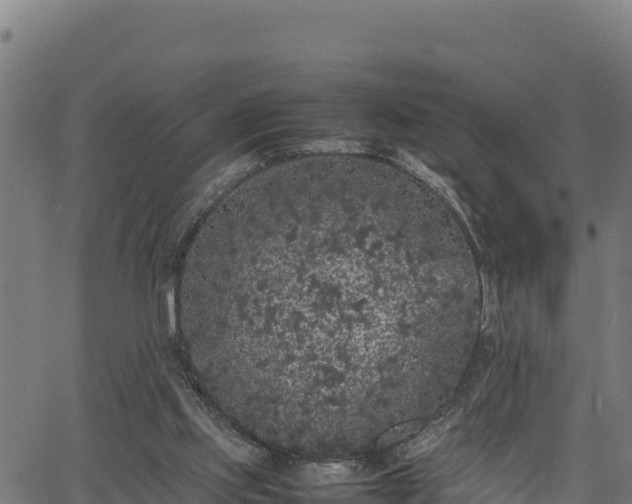 X0000066940061200603311427