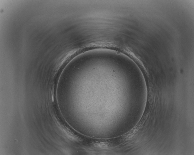 X0000066940062200603311427