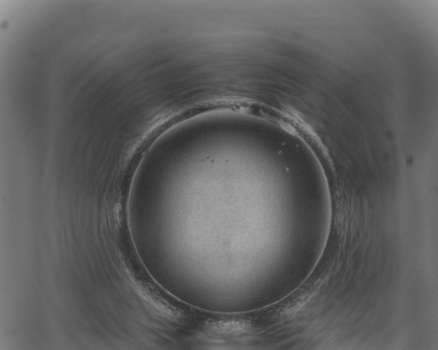 X0000066940063200603311427