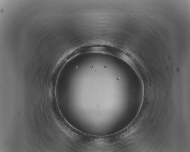 X0000066940064200603311427