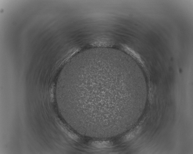 X0000066940065200603311427