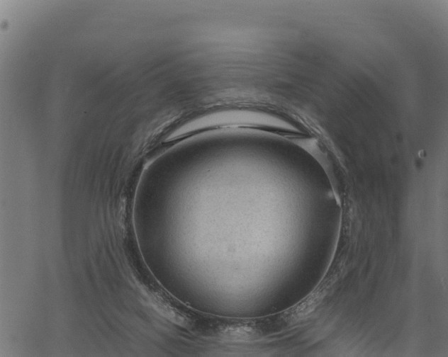 X0000066940066200603311427