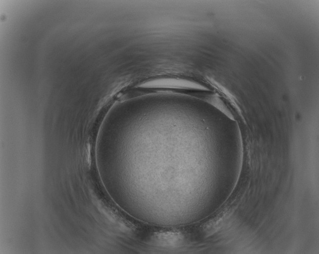 X0000066940067200603311427