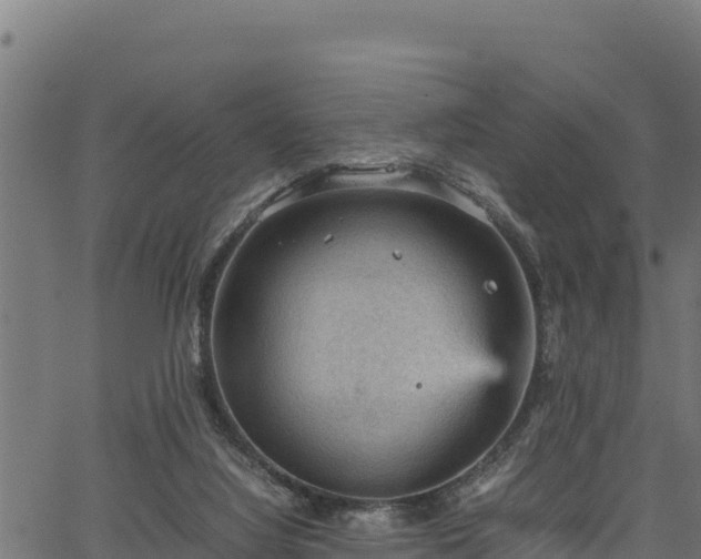 X0000066940068200603311427