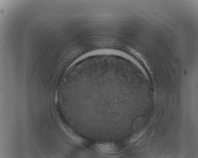 X0000066940069200603311427