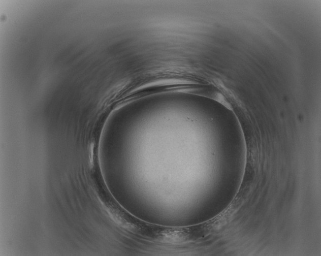 X0000066940070200603311427