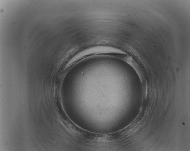 X0000066940072200603311427