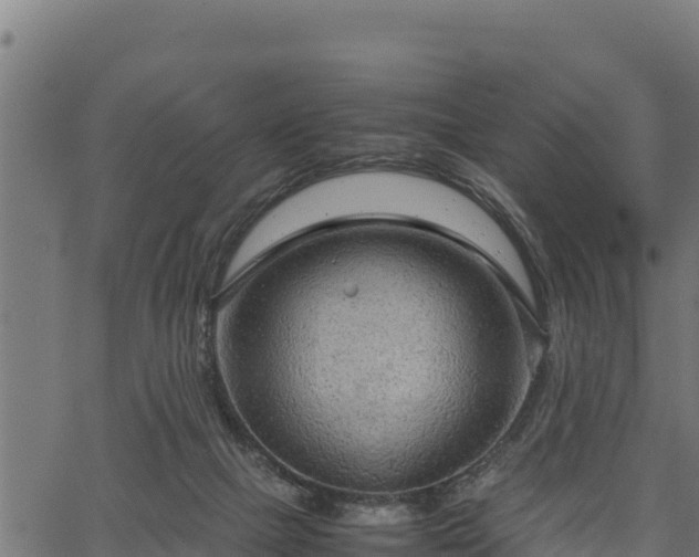 X0000066940073200603311427