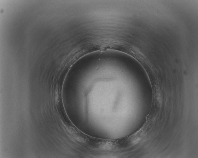 X0000066940074200603311428