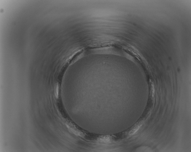 X0000066940076200603311428