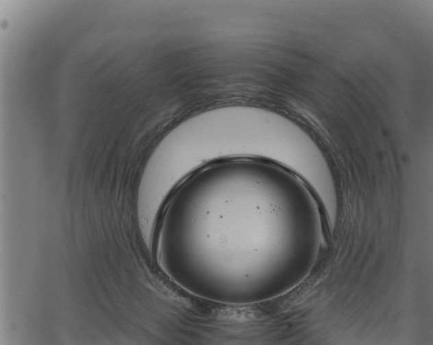 X0000066940077200603311428