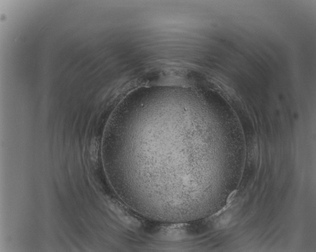 X0000066940078200603311428