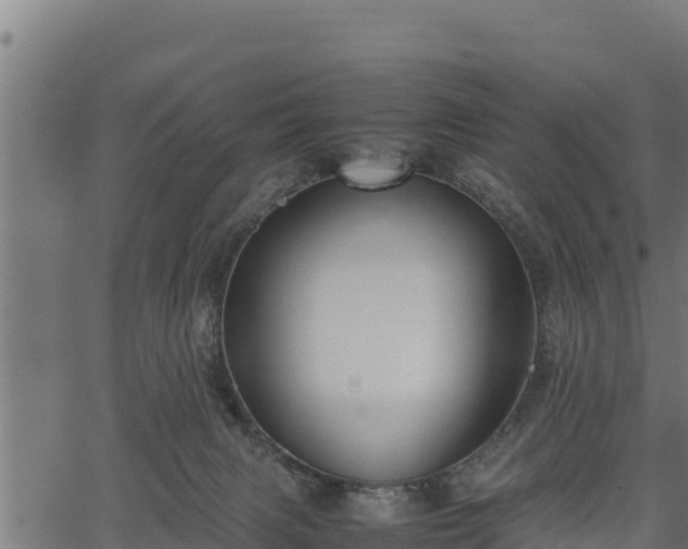 X0000066940079200603311428