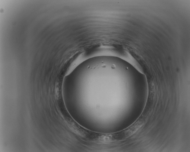 X0000066940080200603311428