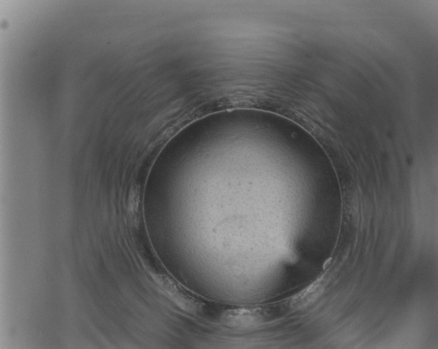 X0000066940082200603311428