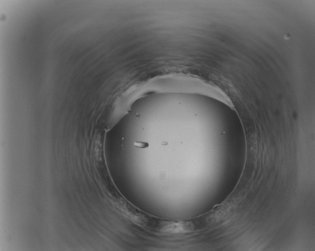 X0000066940083200603311428