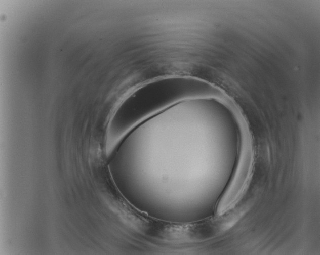 X0000066940084200603311428