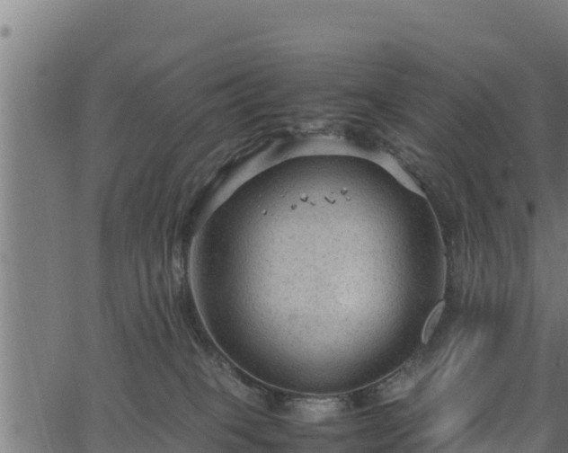 X0000066940085200603311428