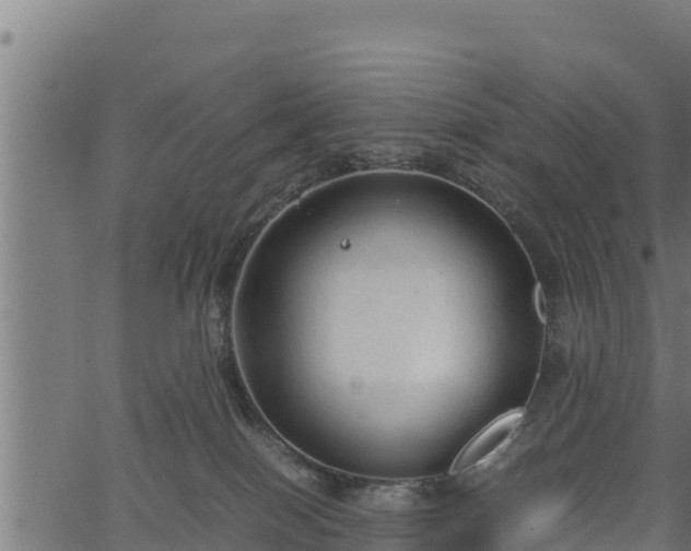 X0000066940086200603311428