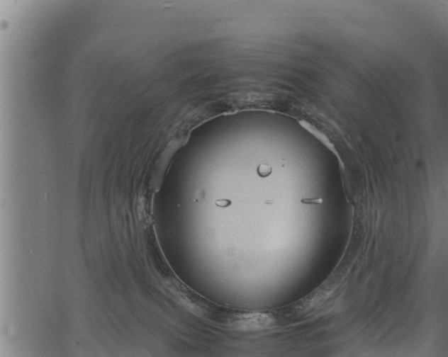 X0000066940087200603311428