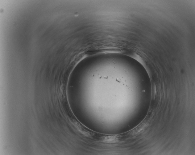 X0000066940088200603311428