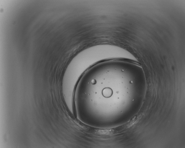 X0000066940089200603311428