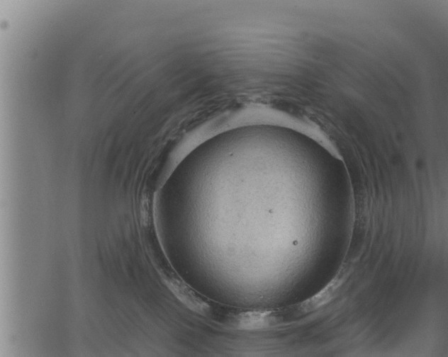 X0000066940090200603311428