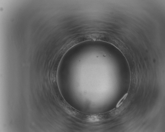 X0000066940091200603311428