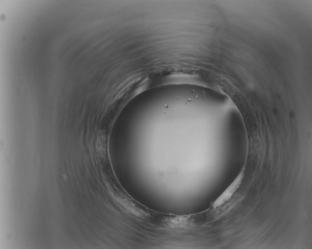 X0000066940092200603311428