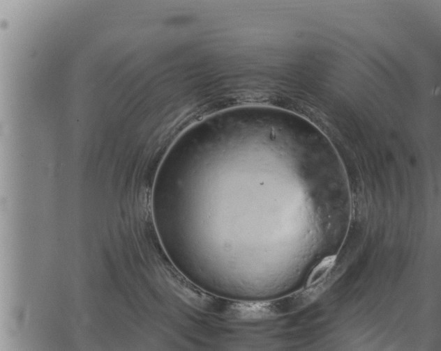 X0000066940093200603311428