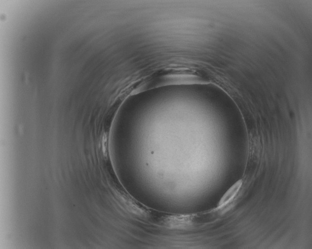 X0000066940094200603311428