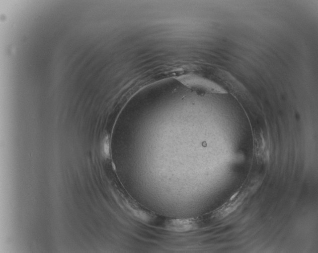 X0000066940095200603311428