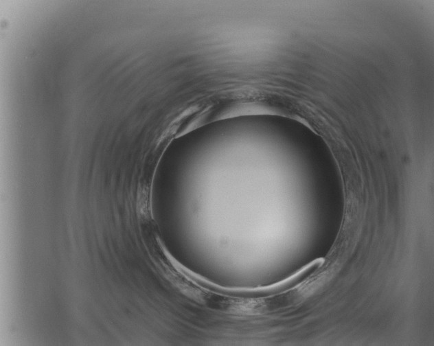 X0000066940096200603311428