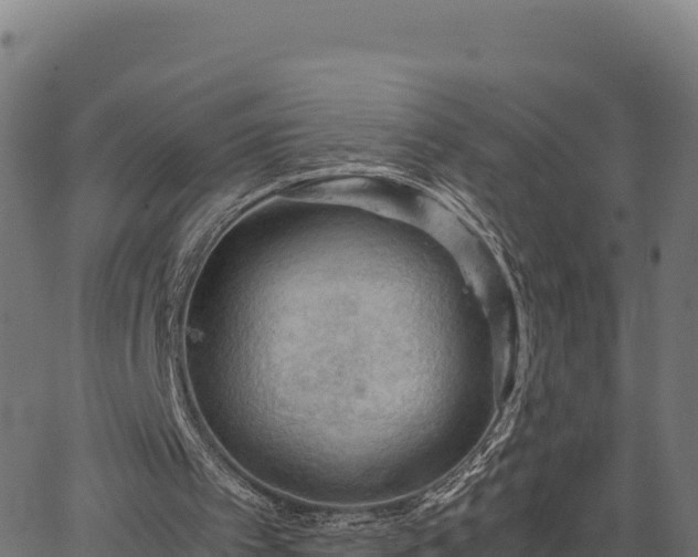 X0000066940097200603311427