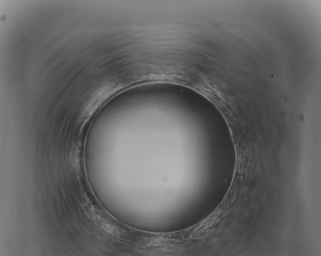 X0000066940098200603311427