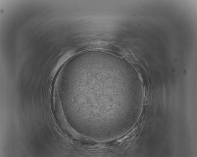 X0000066940099200603311427