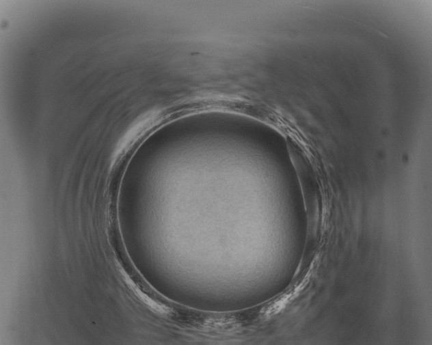 X0000066940101200603311427